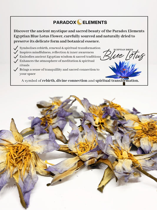 Blue Lotus Flowers | Egyptian (Small - 15g)