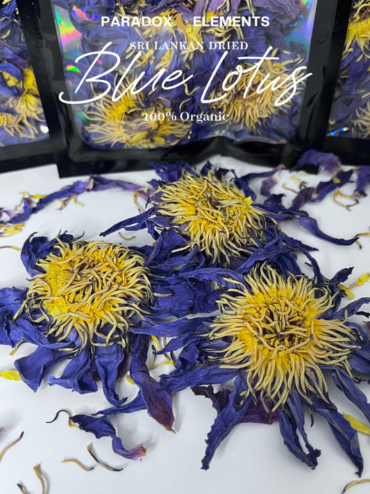 Blue Lotus Flowers | Sri-Lankan (Small - 15g)