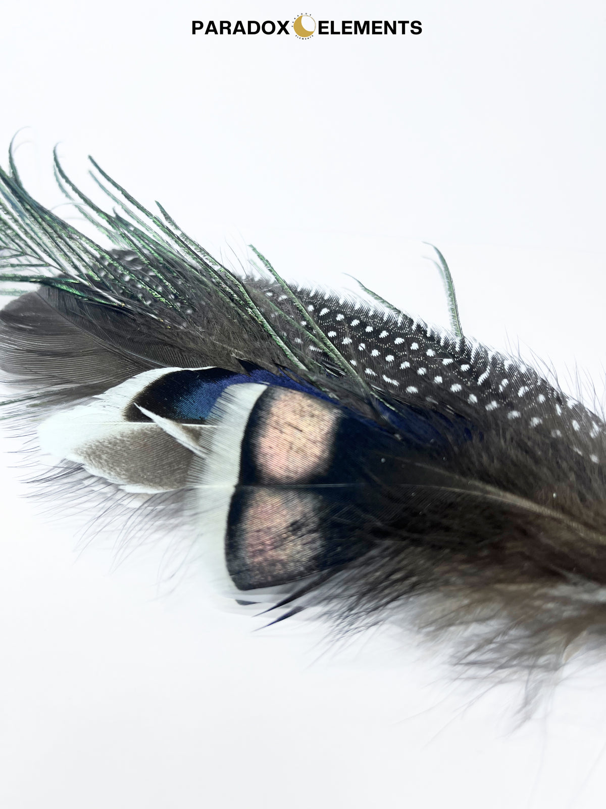 Feather Fan IIII for Cleansing & Smudging